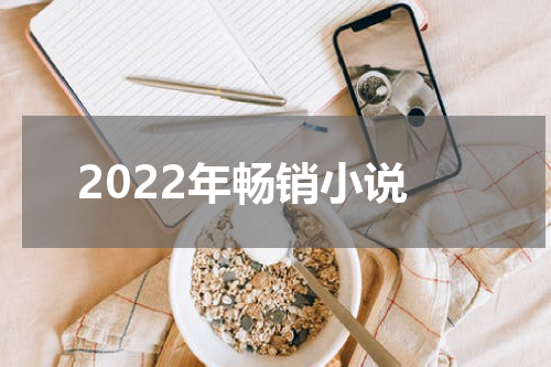 2022年畅销小说