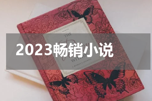2023畅销小说