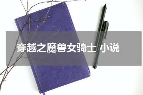 穿越之魔兽女骑士 小说