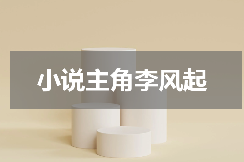 小说主角李风起