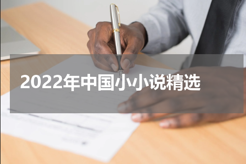 2022年中国小小说精选