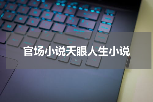 官场小说天眼人生小说