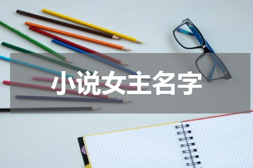 小说女主名字
