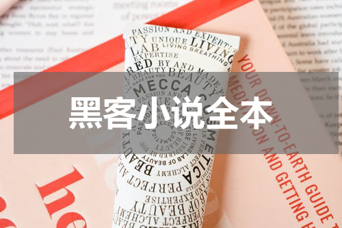 黑客小说全本