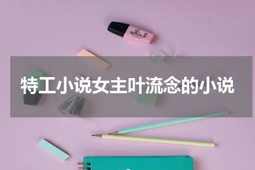 特工小说女主叶流念的小说