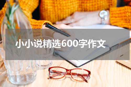 小小说精选600字作文