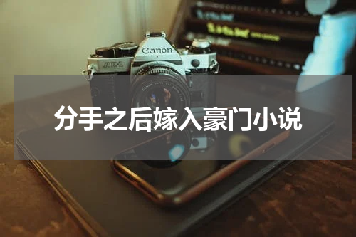 分手之后嫁入豪门小说
