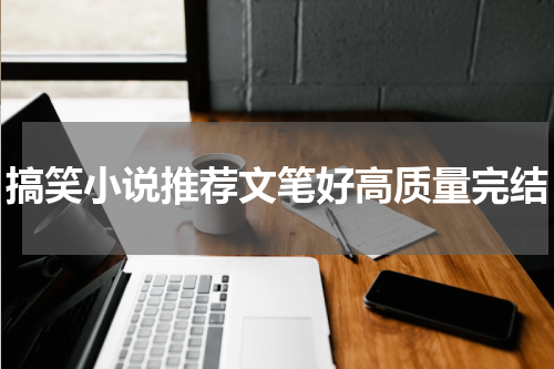 搞笑小说推荐文笔好高质量完结