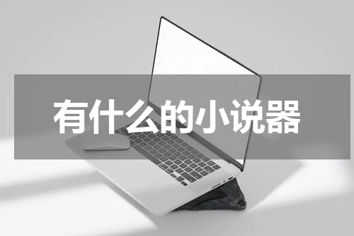 有什么的小说器