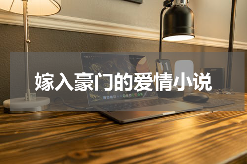 嫁入豪门的爱情小说