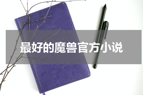 最好的魔兽官方小说
