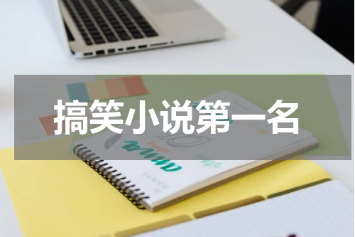 搞笑小说第一名