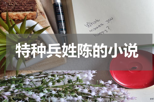 特种兵姓陈的小说