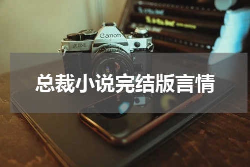 总裁小说完结版言情