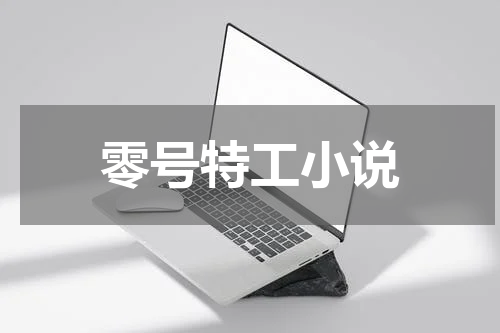 零号特工小说