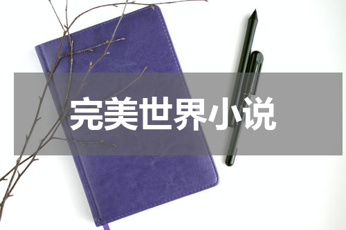 完美世界小说