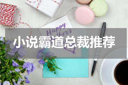 小说霸道总裁推荐
