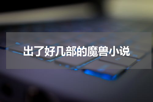 出了好几部的魔兽小说