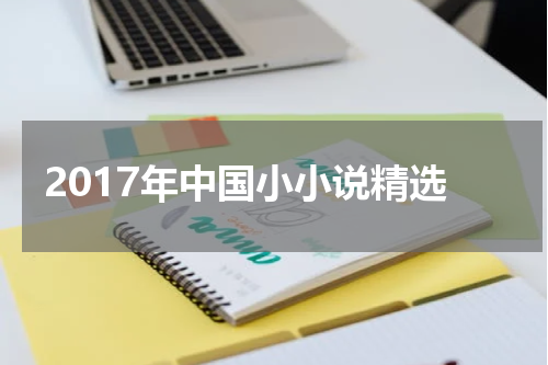 2017年中国小小说精选