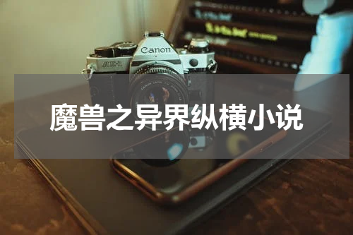 魔兽之异界纵横小说