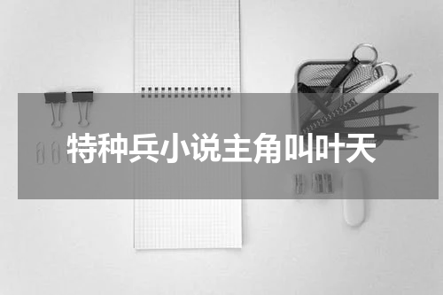特种兵小说主角叫叶天