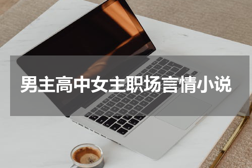 男主高中女主职场言情小说