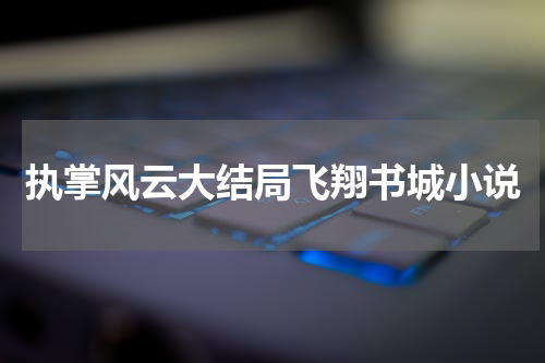 执掌风云大结局飞翔书城小说