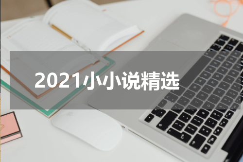 2021小小说精选