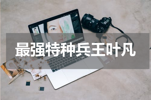 最强特种兵王叶凡