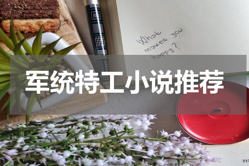 军统特工小说推荐