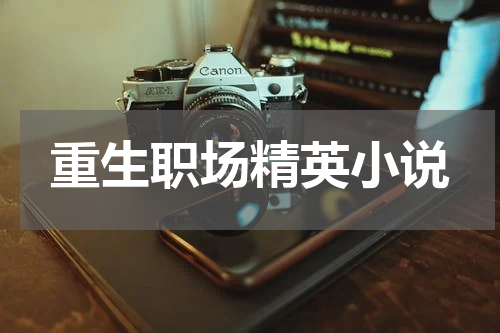 重生职场精英小说