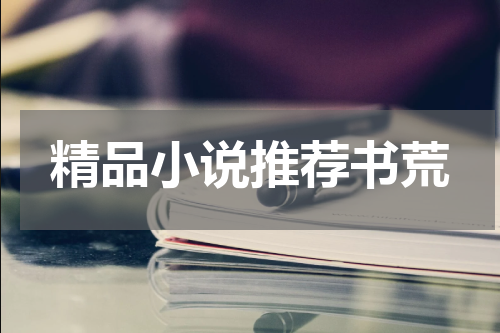 精品小说推荐书荒
