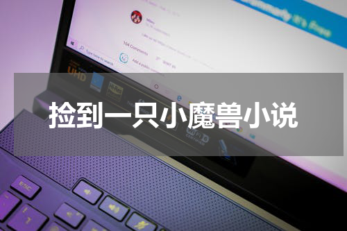 捡到一只小魔兽小说