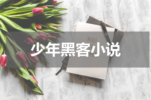 少年黑客小说