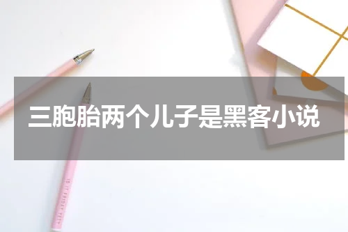 三胞胎两个儿子是黑客小说