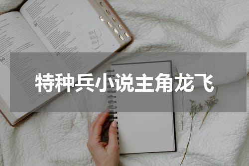 特种兵小说主角龙飞