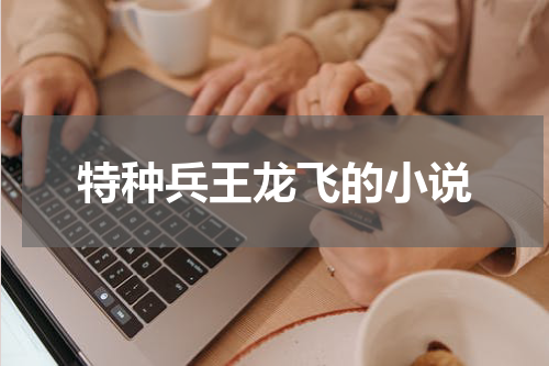 特种兵王龙飞的小说