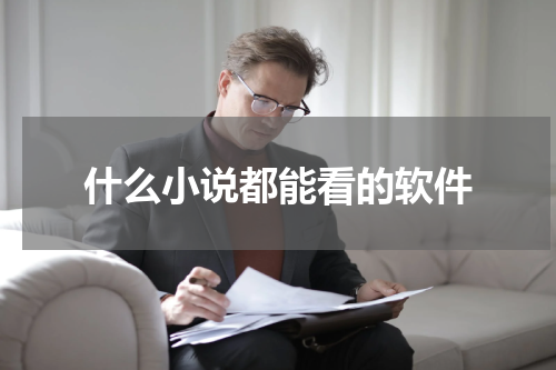 什么小说都能看的软件