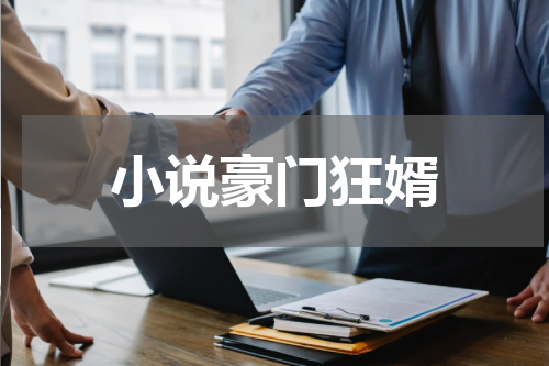 小说豪门狂婿