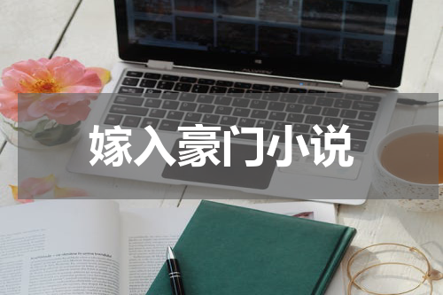 嫁入豪门小说