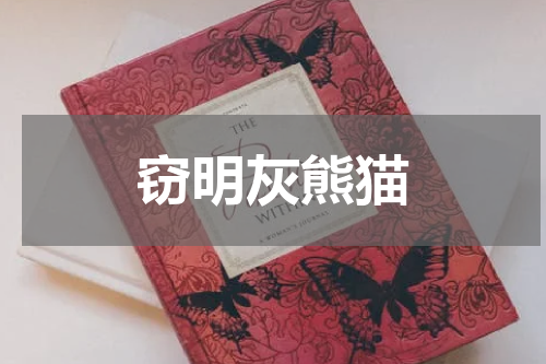 窃明灰熊猫