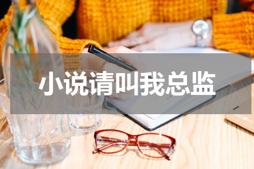 小说请叫我总监