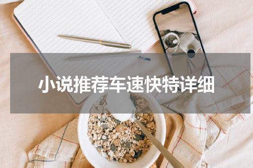 小说推荐车速快特详细