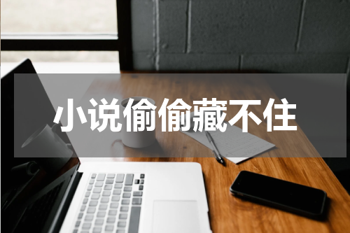 小说偷偷藏不住