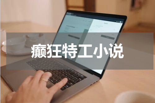 癫狂特工小说