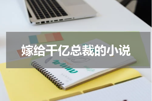 嫁给千亿总裁的小说