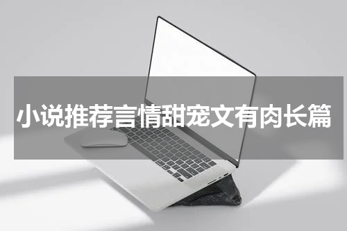 小说推荐言情甜宠文有肉长篇