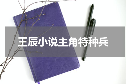 王辰小说主角特种兵