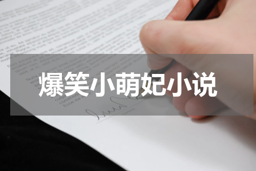 爆笑小萌妃小说