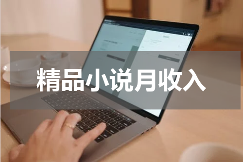 精品小说月收入